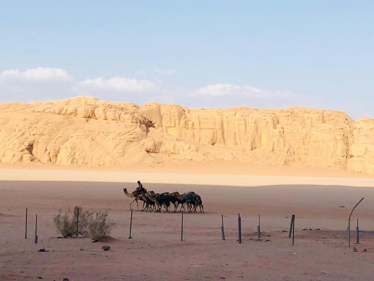 Hotel Landscape Rum Camp Wadi Rum Exterior foto